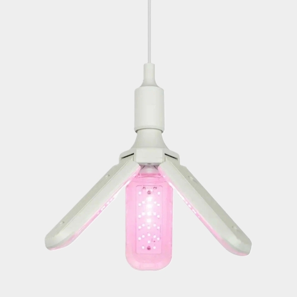 120 идей подарков для «Тайного Санты»